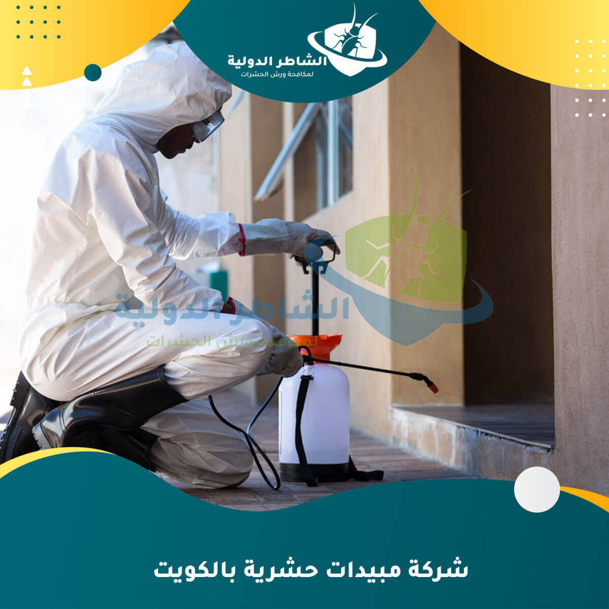 شركة مبيدات حشرية بالكويت