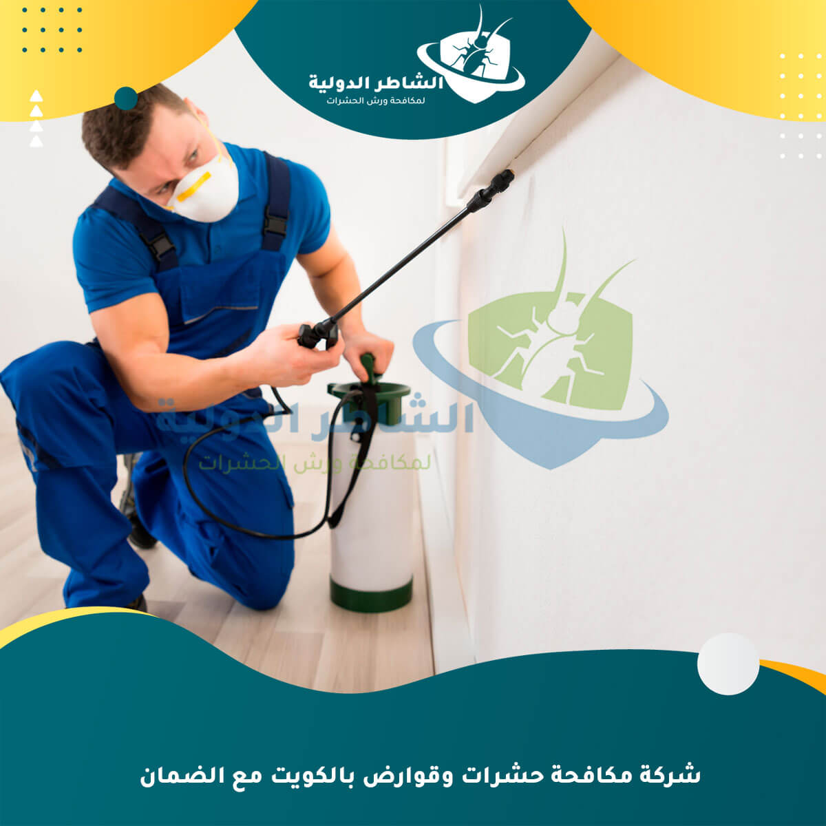 شركة مكافحة حشرات وقوارض بالكويت مع الضمان