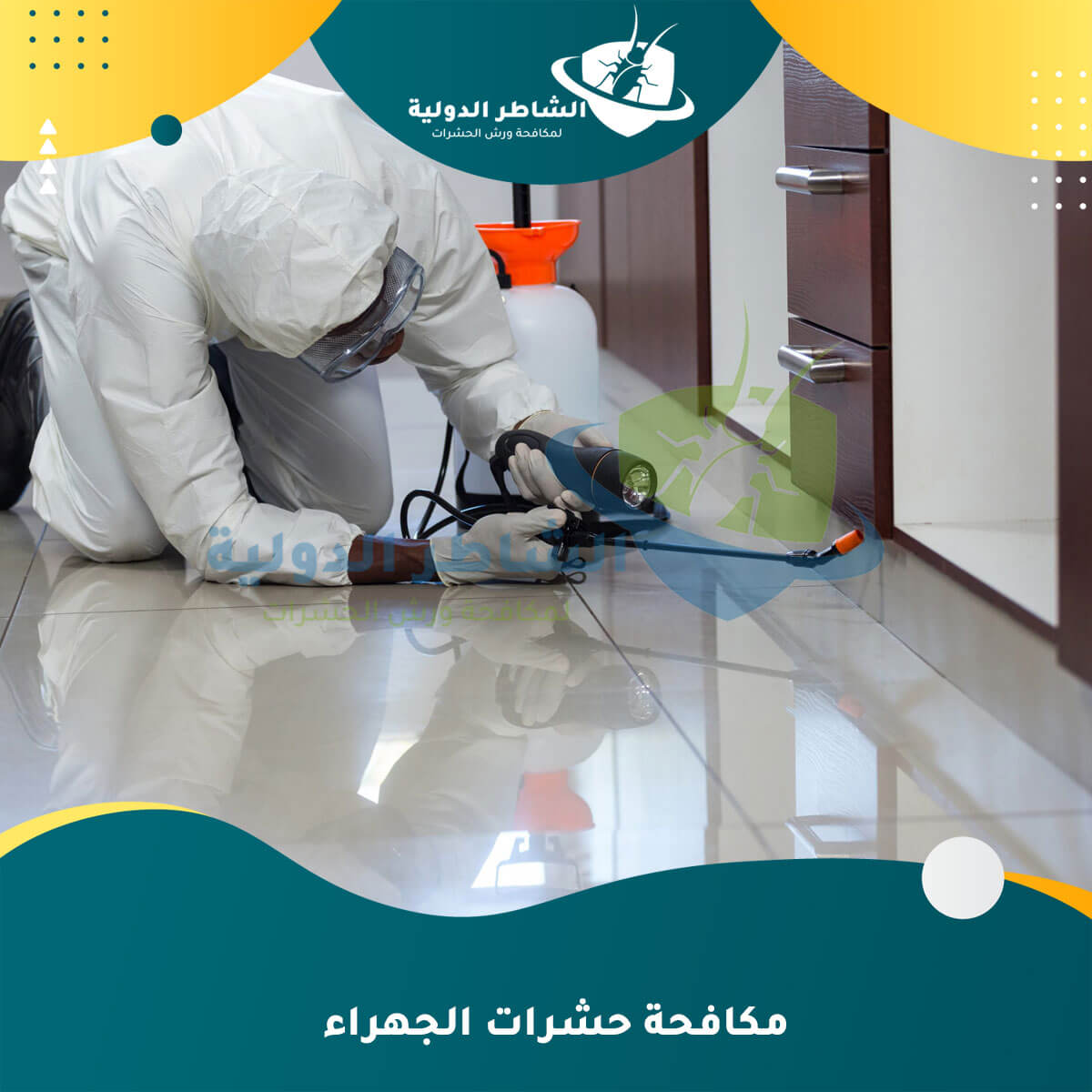 مكافحة حشرات الجهراء