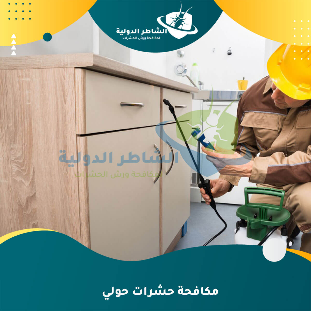 مكافحة حشرات حولي
