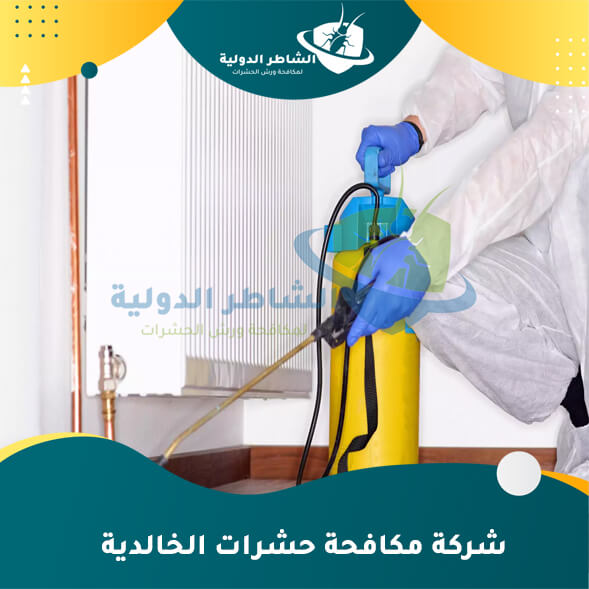 شركة رش حشرات - خطوات اختيار شركة رش حشرات