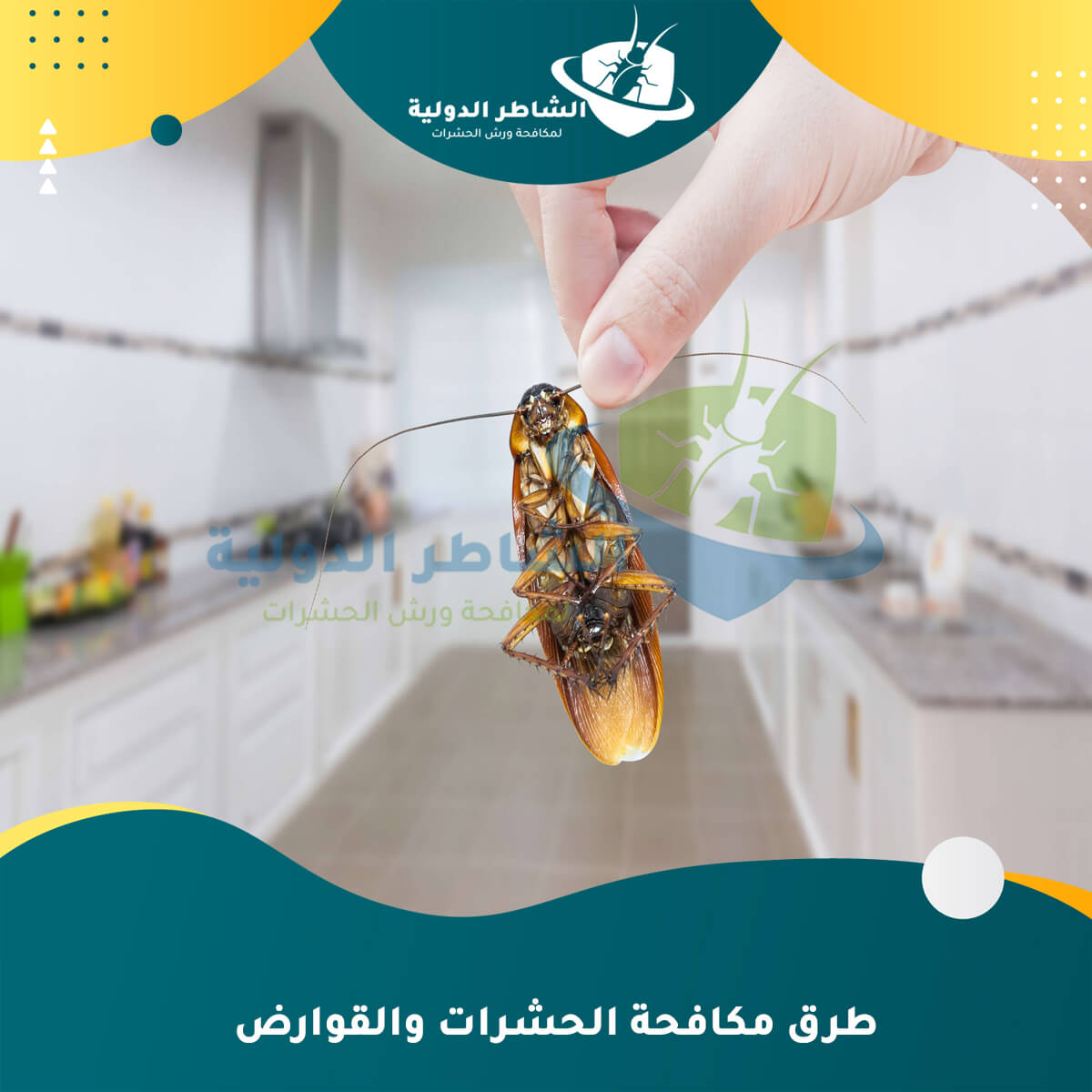 دليل شامل لمكافحة الحشرات: الاستراتيجيات الحديثة والخدمات المتاحة
