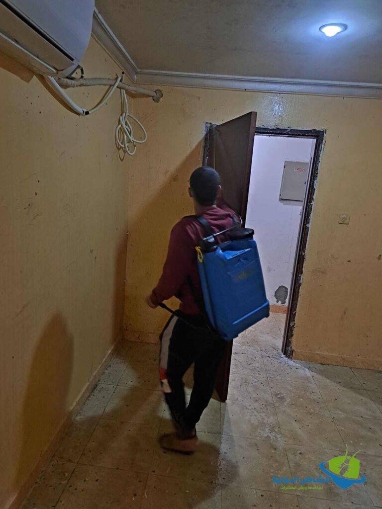 مكافحة الذباب في المنزل
