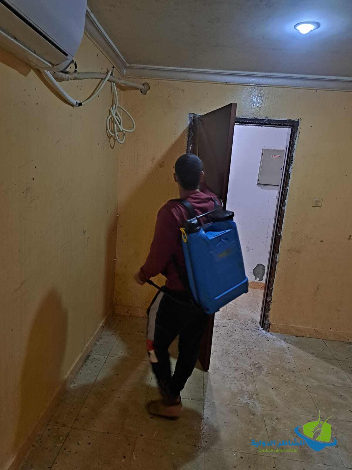 مكافحة الذباب في المنزل