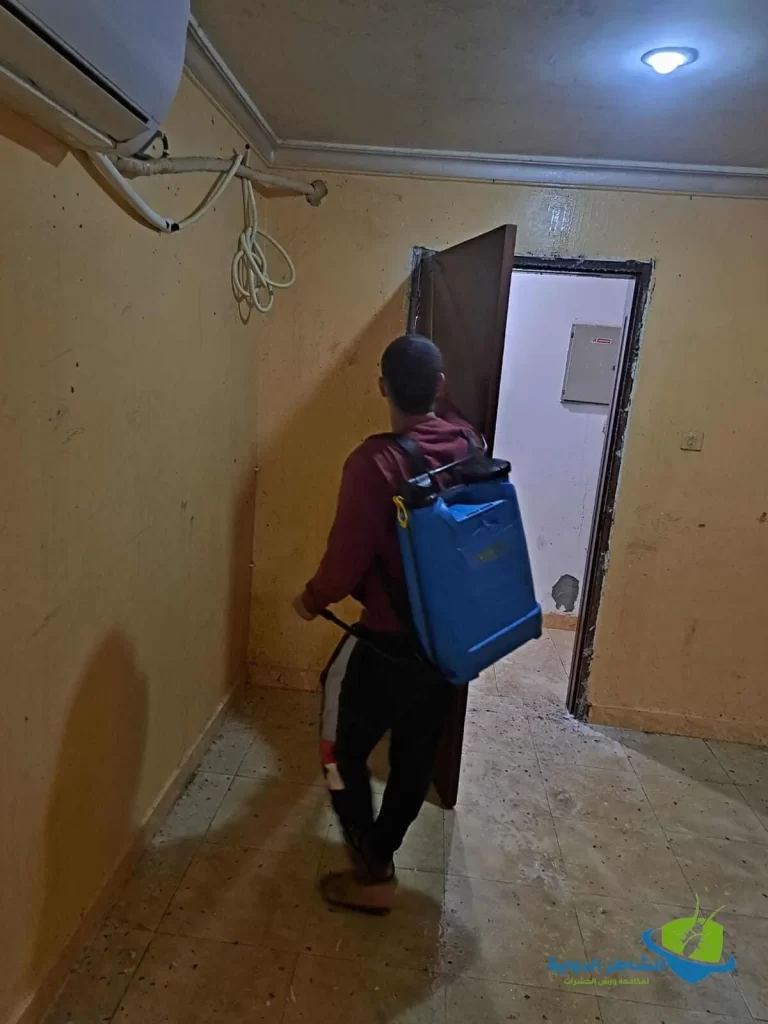 حشرات