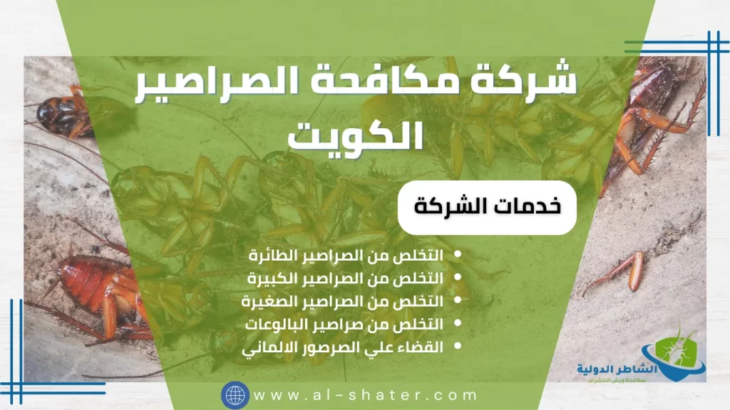 شركة مكافحة الصراصير الكويت