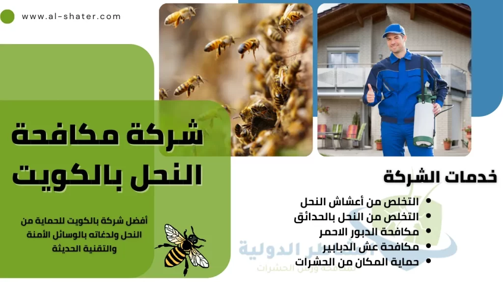 شركة مكافحة النحل بالكويت