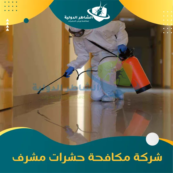 شركة مكافحة حشرات مشرف 