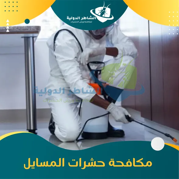مكافحة حشرات المسايل
