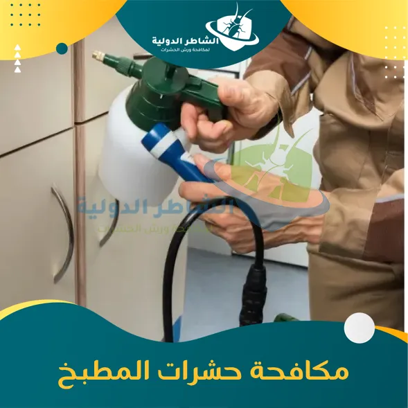 مكافحة حشرات المطبخ 