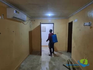 رش مبيدات حشرية